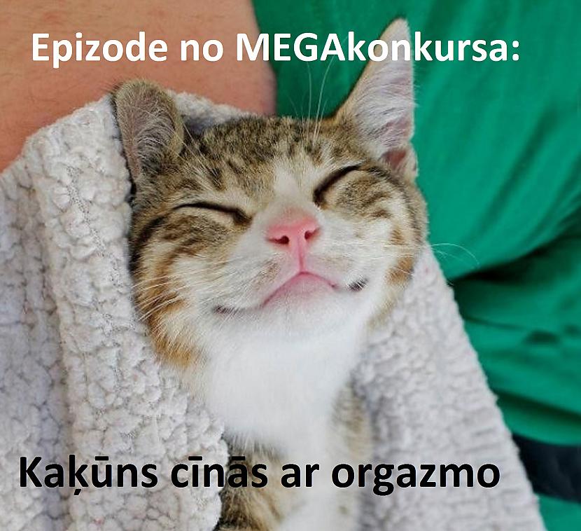 Autors: pyrathe Spoku memes #2 (melnais humors)