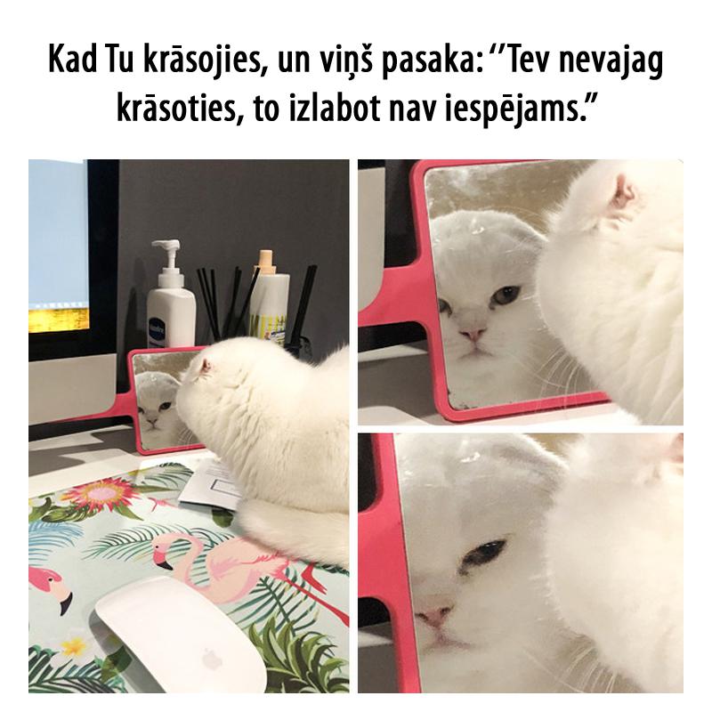 Autors: matilde 10 situācijas, kas ir pazīstamas 9 no 10 meitenēm