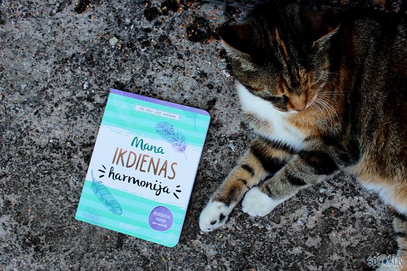 Autors: fakingsons Mana ikdienas harmonija