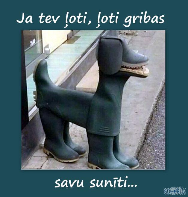 Autors: rasiks Kad gribas smaidīt, bet nav par ko (3.)