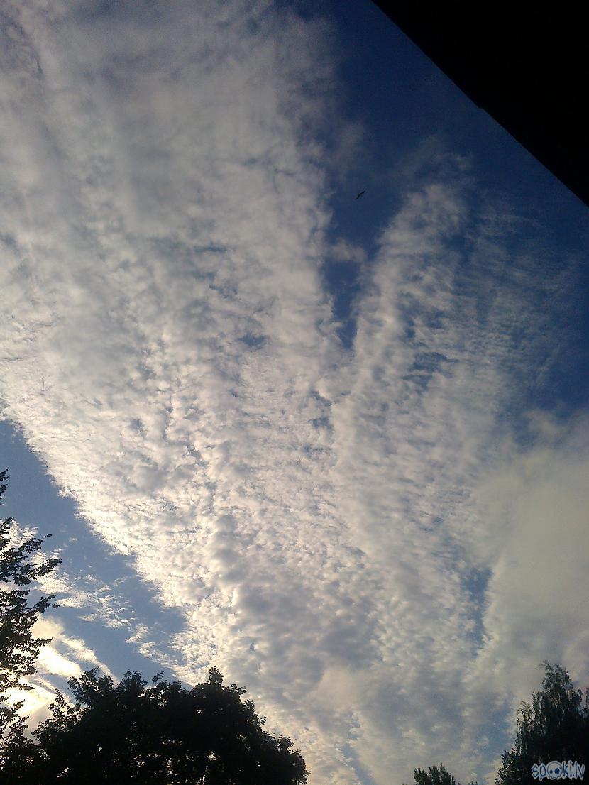 Te pēkscaronņi debesis kā... Autors: ezkins Un atkal pīles kliedz...