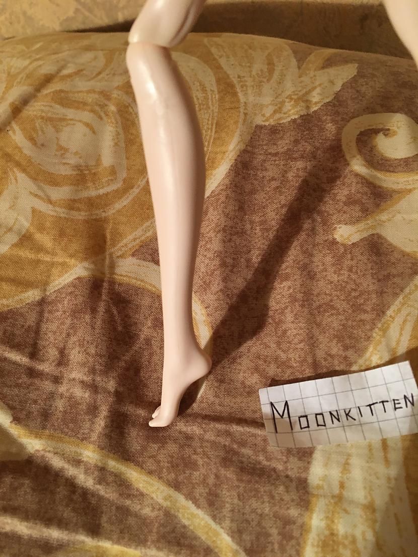 Autors: Moonkitten FS kāja