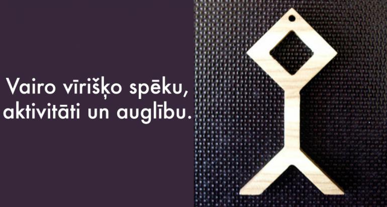 Jāņa zīme Autors: SillyStuff 20 latvju zīmes, kuru nozīme jāzina katram latvietim