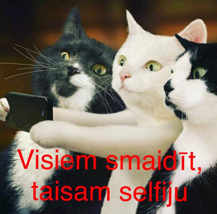 Autors: Charged Iespējams, uzlabos GARASTĀVOKLI.