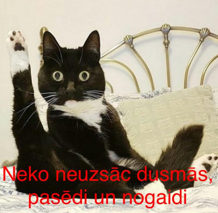 Autors: Charged Iespējams, uzlabos GARASTĀVOKLI.
