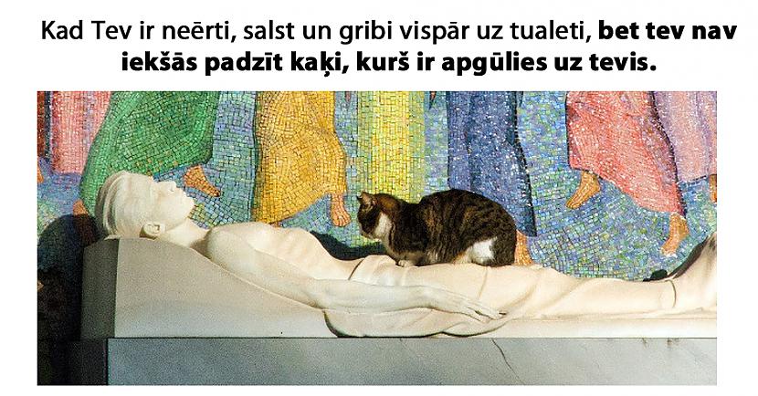 Autors: matilde «Twitter» joki, kas īpaši nepatiks tiem, kuri ātri apvainojas