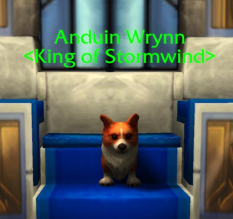 Autors: Latvian Revenger World of Warcraft jubilejas svinību ietvaros, visus pārvērš par Korgijiem