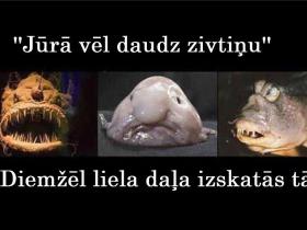 Smieklīgi attēli trešdienai. MEGAPAKA!