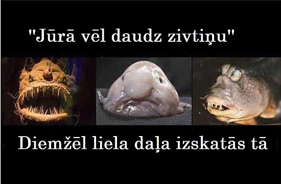 Smieklīgi attēli trešdienai. MEGAPAKA!
