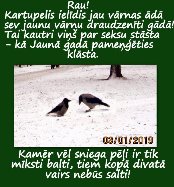 Autors: rasiks Pārdomu bilžuki