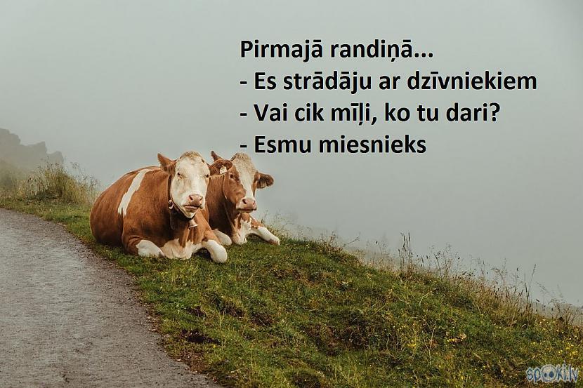 Spoki joko