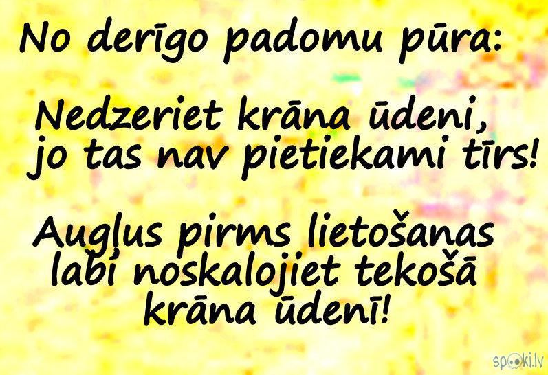 Spoki joko