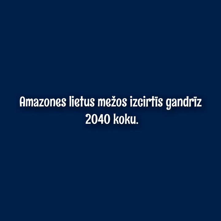 Autors: Spoklandija Ko pasaule spēj izdarīt nieka vienas minūtes laikā?