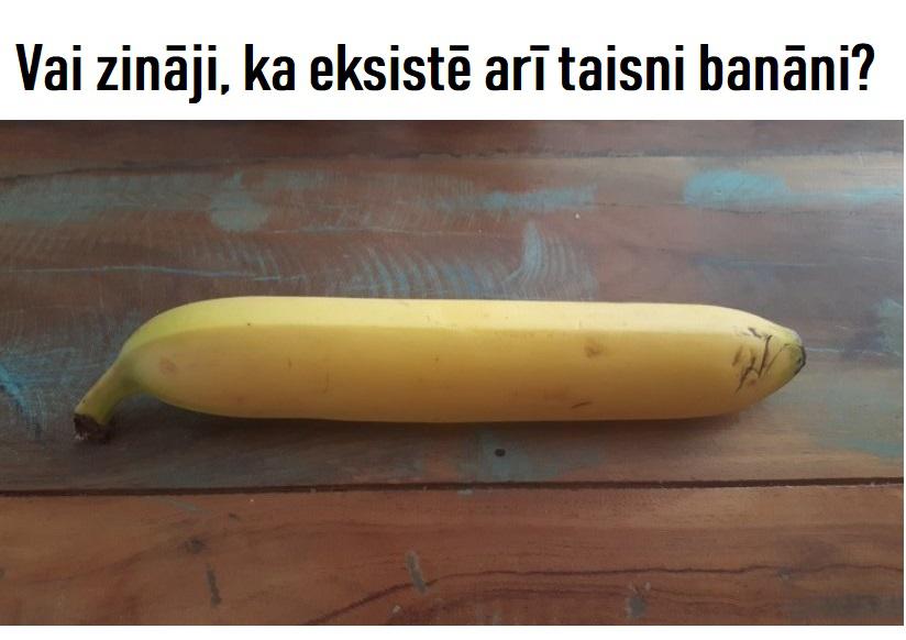 Autors: The Diāna 10 fakti, kurus Tu noteikti nebūsi dzirdējis