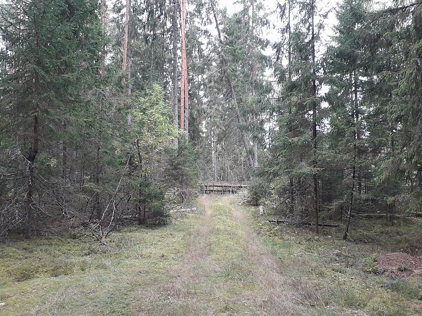 Autors: Griffith 2018. gada atvaļinājums, 9. septembris.