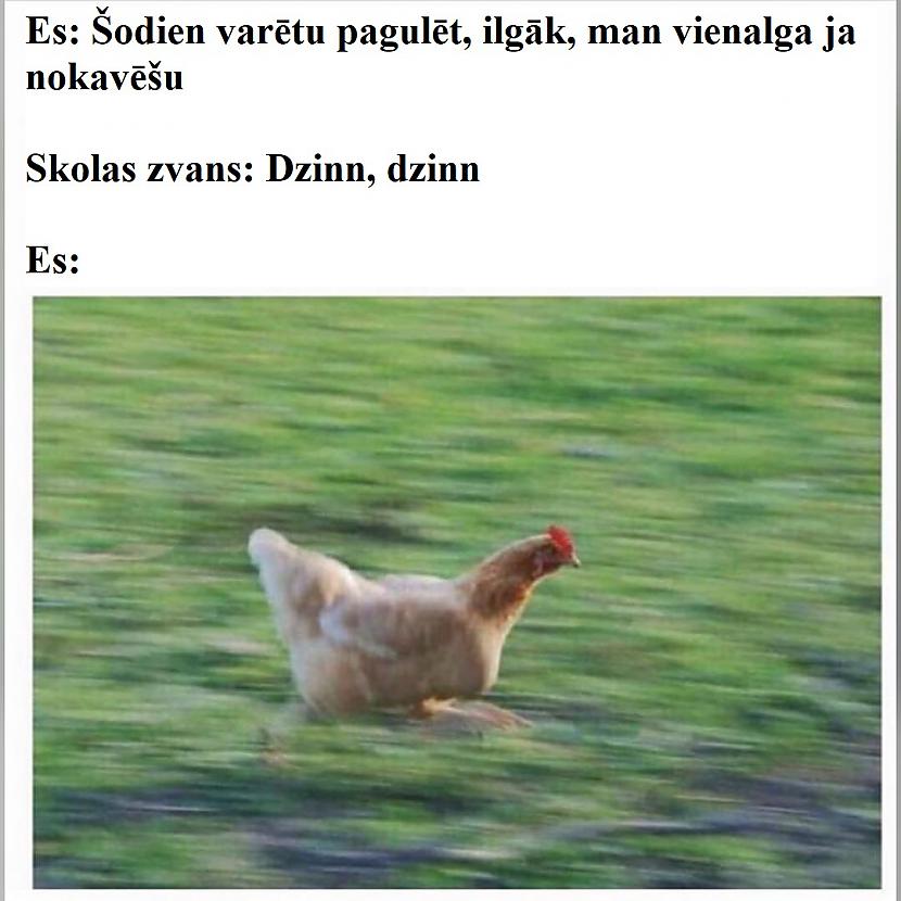 Autors: Latvian Revenger Smieklīgas memītes otrdienai