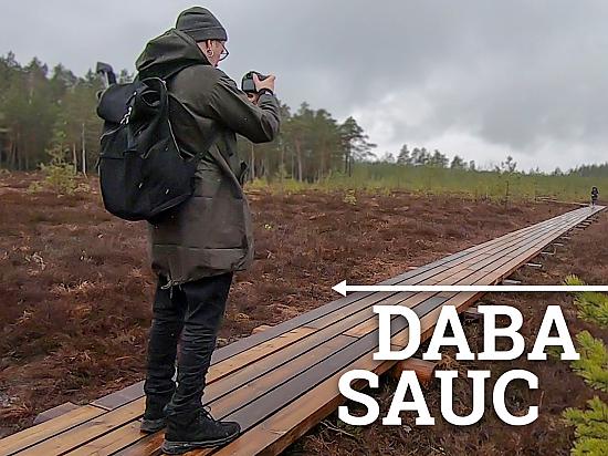 Kangaru skatu tornis un dabas taka