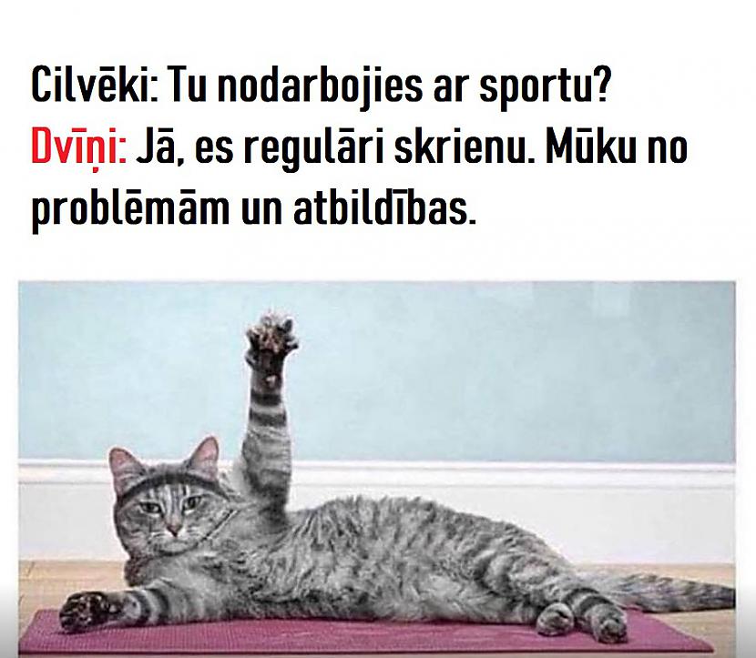 Autors: The Diāna Memes par DVĪŅIEM