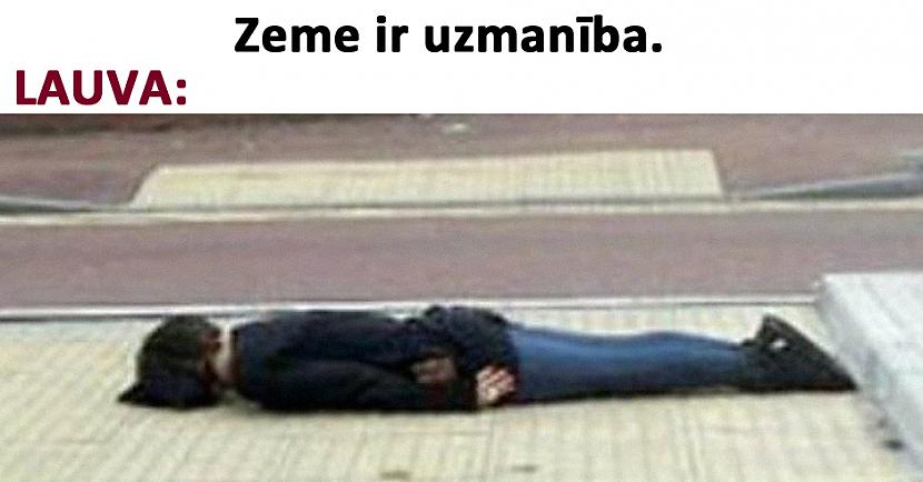 Autors: The Diāna Memes par LAUVĀM