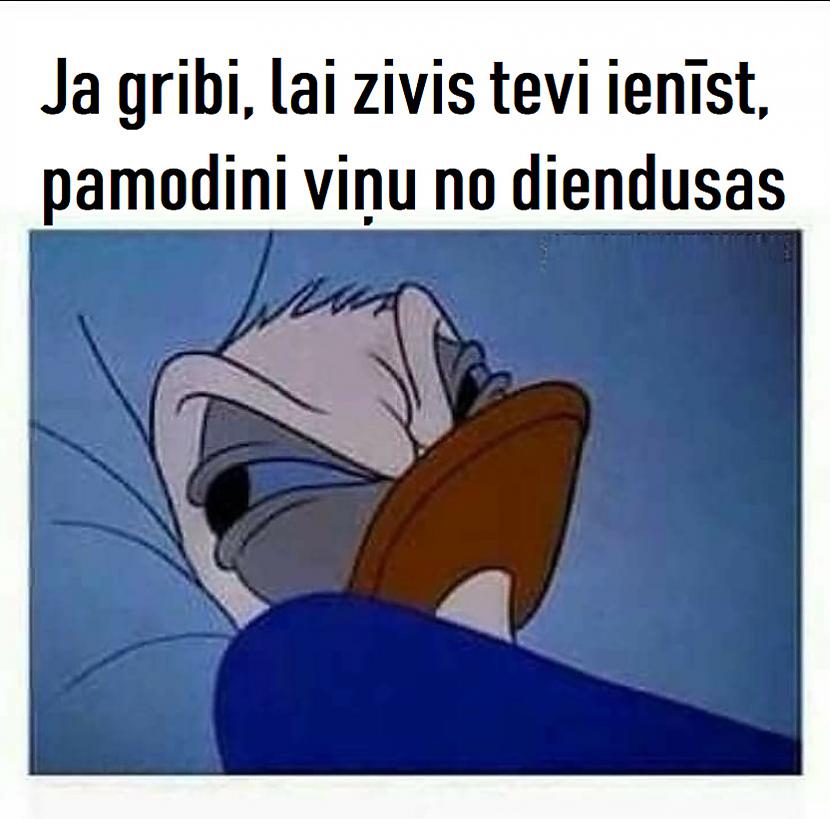 Autors: The Diāna Memes par ZIVĪM