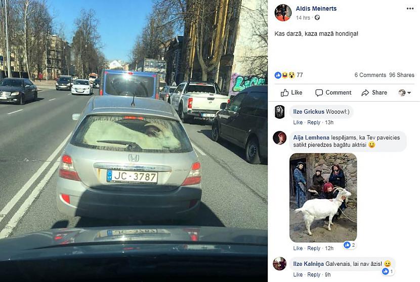 nbspSavukārt kāda Aira... Autors: Svētdiena Rīgā manīta hondiņa ar neparastu pasažieri bagāžniekā