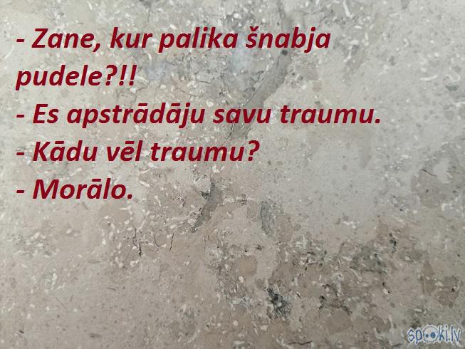 Spoki joko