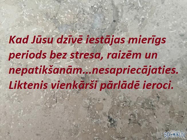 Spoki joko