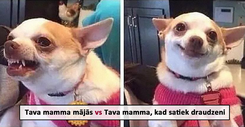 Autors: matilde 17 smieklīgas memītes, kuras būtu vērts parādīt saviem vecākiem