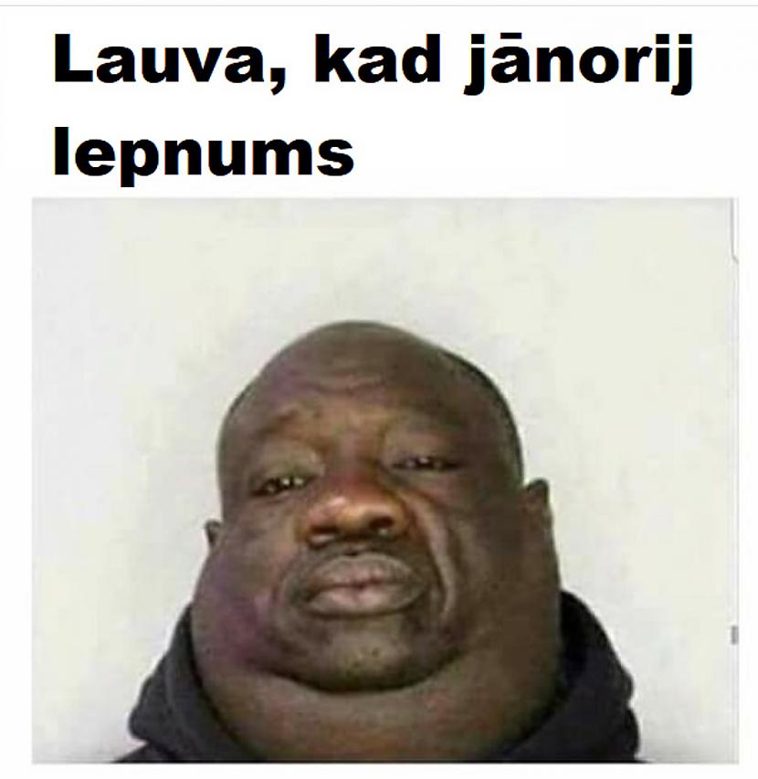Autors: The Diāna Memes par LAUVĀM