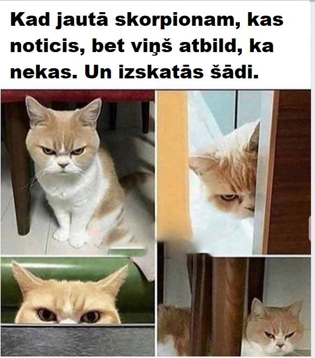 Autors: The Diāna Memes par SKORPIONIEM