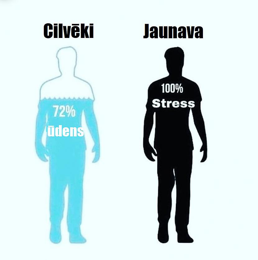 Autors: The Diāna Memes par JAUNAVĀM