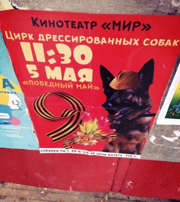 Autors: es tēvocis Only In Russia #2