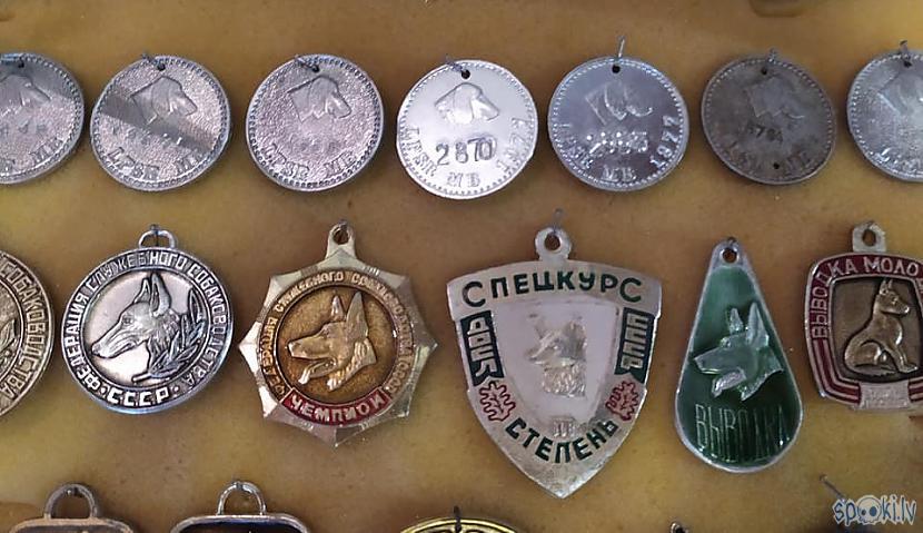 Autors: SalvatoreMundi Mana suņu žetonu kolekcija.