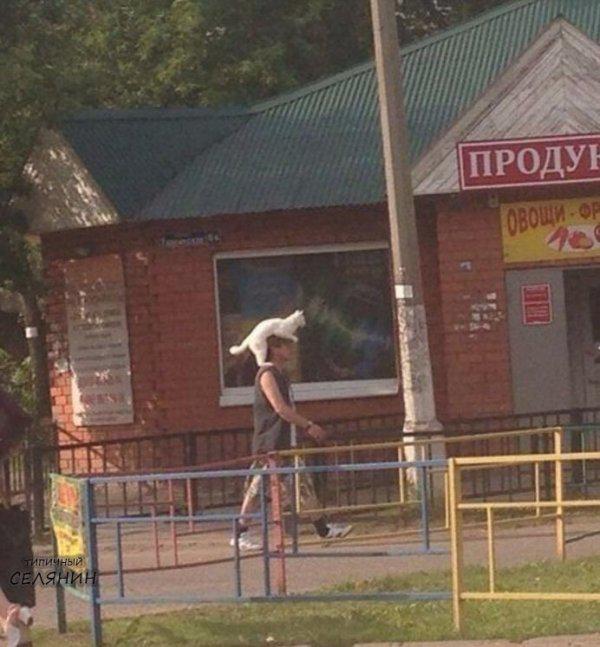 Autors: es tēvocis Only In Russia #5