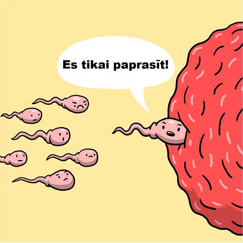 Autors: The Diāna Smieklīgi komiksiņi par to, kādu dzīvi dzīvo mūsu iekšējie orgāni