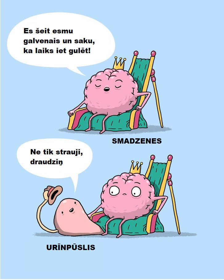 Autors: The Diāna Smieklīgi komiksiņi par to, kādu dzīvi dzīvo mūsu iekšējie orgāni