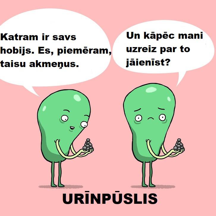 Autors: The Diāna Smieklīgi komiksiņi par to, kādu dzīvi dzīvo mūsu iekšējie orgāni