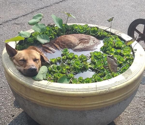 Uz ielas Uz ielas satiekas... Autors: es tÄvocis Asorti ar tekstu Å”odienai (15.05.2019)š