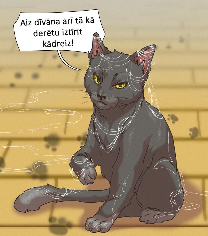 nbspJa tev liekas ka mājās... Autors: matilde 14 krāsainas ilustrācijas, kas lieliski atspoguļo uzkopšanas darbus mājās