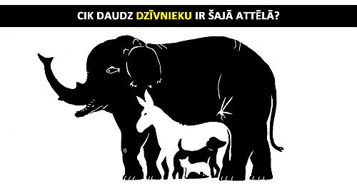 Seši uzdevumi, kurus var atrisināt bērni, bet pieaugušajiem sagādā grūtības