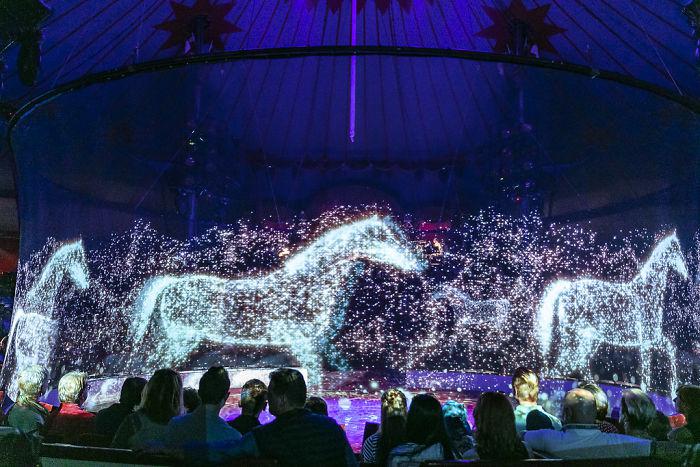 Autors: matilde Vācijā īstu dzīvnieku vietā cirks izmanto hologrammas