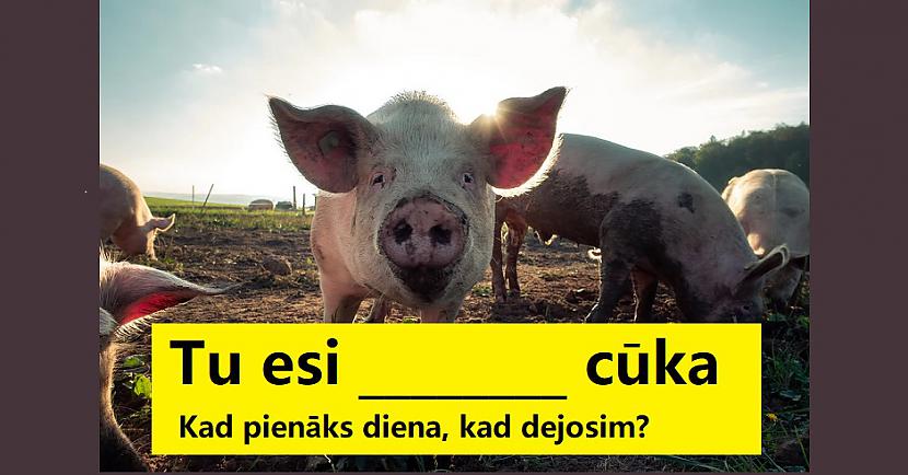 TESTS: Vai spēsi pabeigt slavenāko «Labvēlīgā Tipa» dziesmu piedziedājumus?