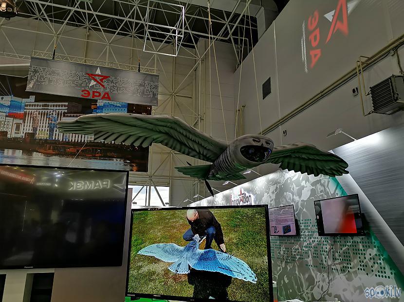 Izslavētā pūce smi Autors: bombongs Army 2019/4