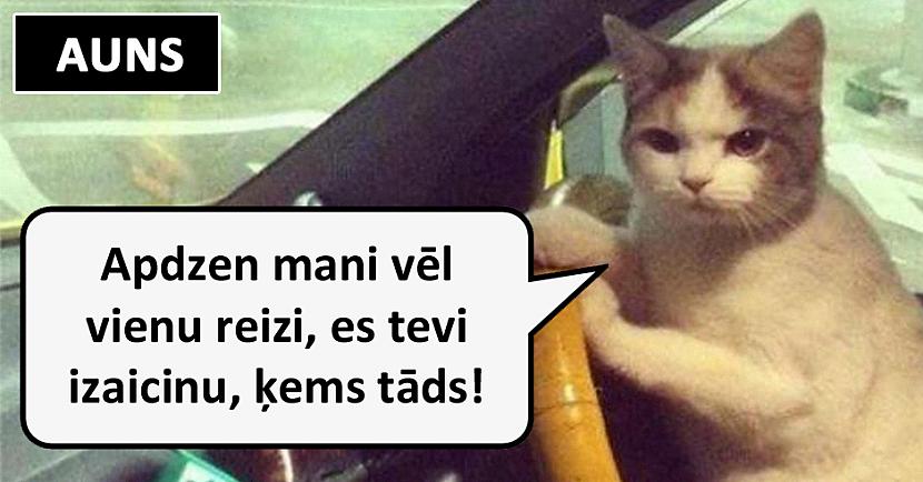 Autors: matilde Lūk, kā automašīnu vada dažādas zodiaka zīmes