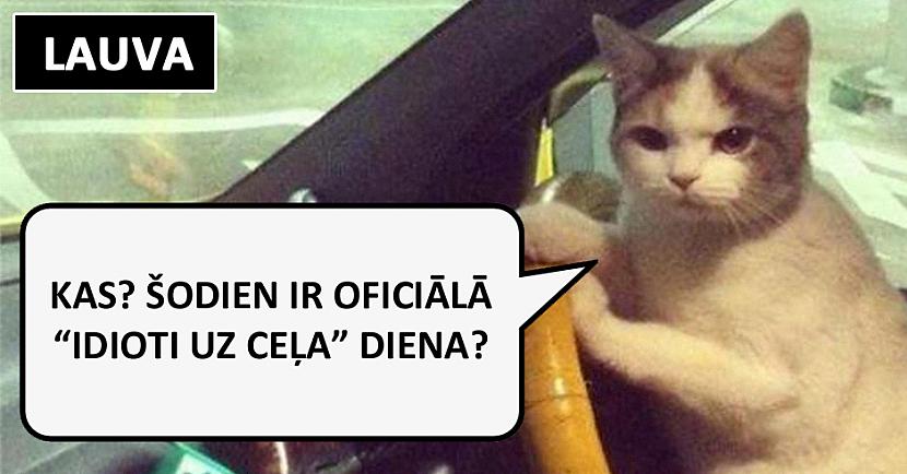 Autors: matilde Lūk, kā automašīnu vada dažādas zodiaka zīmes