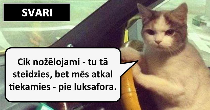 Lūk, kā automašīnu vada dažādas zodiaka zīmes