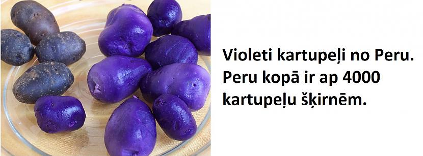 Autors: The Diāna 15 attēli, kuri parāda, ka pasaule ir apbrīnojama vieta