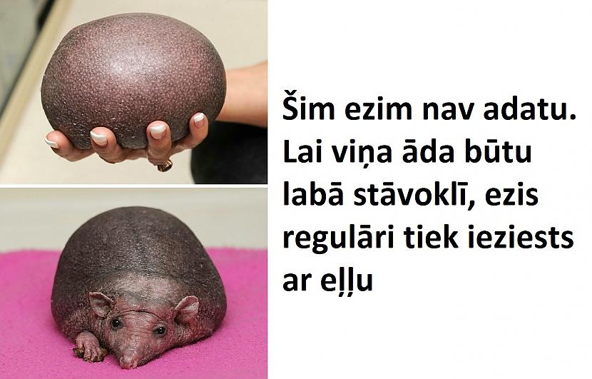 Autors: The Diāna 15 attēli, kuri parāda, ka pasaule ir apbrīnojama vieta