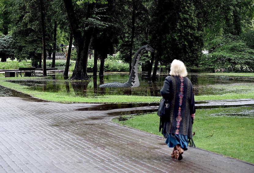 Autors: Dzerbudists Šokējoši kadri no Rīgas plūdiem