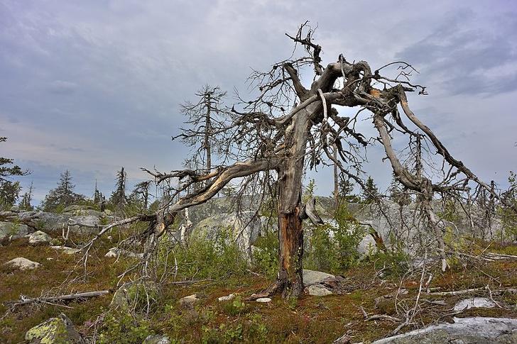 Vottovaara kalnsTas atrodas... Autors: Lestets 10 īstas vietas, kas šķiet zinātniski neiespējamas